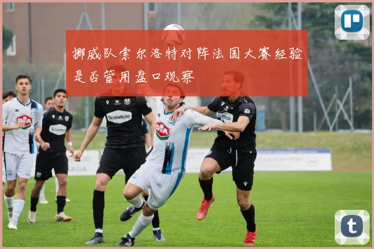 挪威队索尔洛特对阵法国大赛经验是否管用盘口观察