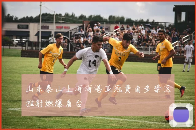 山东泰山上海海港亚冠费南多禁区推射燃爆看台