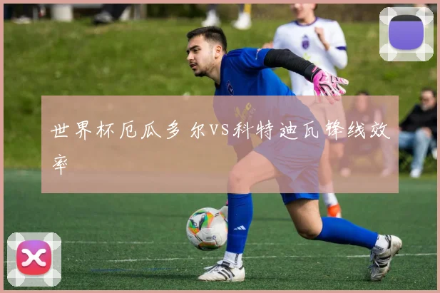 世界杯厄瓜多尔vs科特迪瓦锋线效率